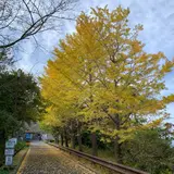 城山公園