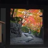 紅葉渓庭園