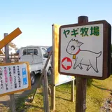 【閉店】ビビッドタウン関ヶ原ヤギ牧場