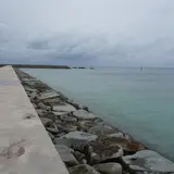 細崎