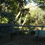 芹ケ谷公園