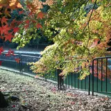 東山自然緑地