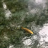 明神池名水公園