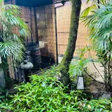 千屋