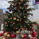 カルティエ南青山店