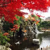 上尾丸山公園