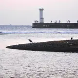 海にやって来ました