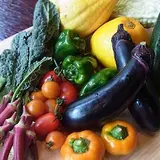 VEGETABLE HOUSE WANOBA