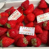 藤代いちご園 直売所