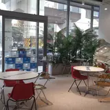플럼프