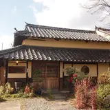 藪椿