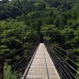 道志村 野原吊り橋