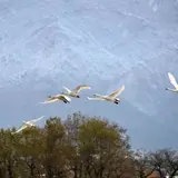 五頭温泉郷