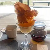 acoya アコヤ