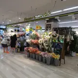 イオン 札幌麻生店