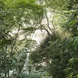布引の滝