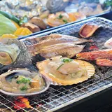 シーアイガ海月