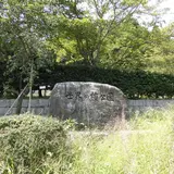 世界の梅公園