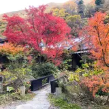 和の花