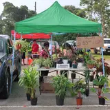 Dededo Flea market（デデドの朝市）