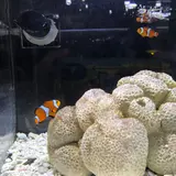 京都水族館