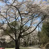 ささやまの森公園