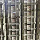 馬場水産