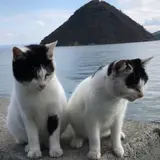 佐柳島