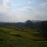 下赤阪の棚田