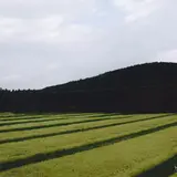 兵庫畑の棚田