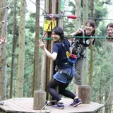 フォレストアドベンチャー・小田原