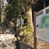今回の登山道入口はこちらから