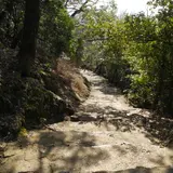 下山は七曲り登山道を選択