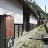 根雨
