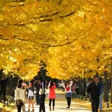 学びの森