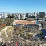 どうする家康 浜松 大河ドラマ館