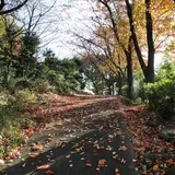 野口公園