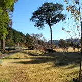 いきなり芝生公園に出た