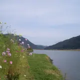 円山川