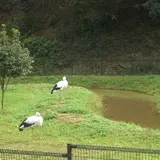 兵庫県立コウノトリの郷公園
