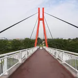 自転車天国