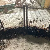 豊予要塞洞窟式砲台跡