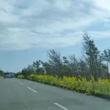 房総フラワーライン