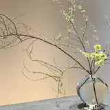 HOSOO FLAGSHIP STORE