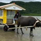 由布島