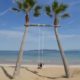 ヤシの木ブランコ