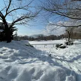 中島公園