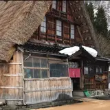 吾郎平