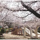 西大畑公園