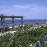 日和浜　新潟市